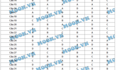 Đáp án đề thi môn Vật lý mã đề 138 tốt nghiệp THPT Quốc gia năm 2015 